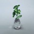 Swarovski Crystal | Crystal Moments | Flower Dreams - Four-leaf Clovers | 5415273